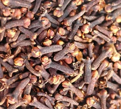 CLOVES (ĐINH HƯƠNG)