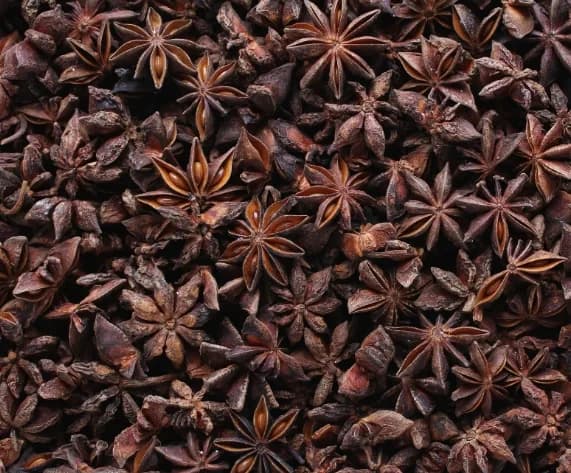 STAR ANISEED (HOA HỒI)