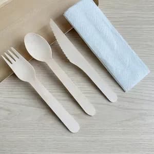 Takeout Tableware