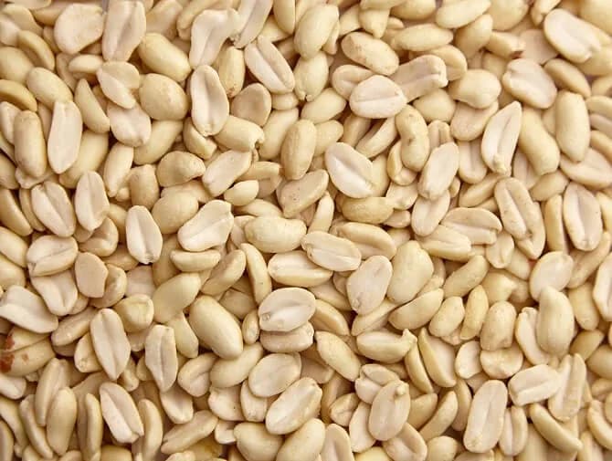 Blanched Peanut (ĐẬU PHỘNG)