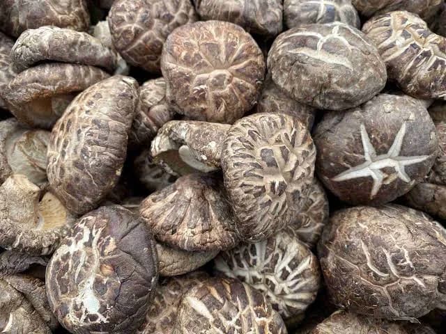 Dried Shiitake Mushrooms